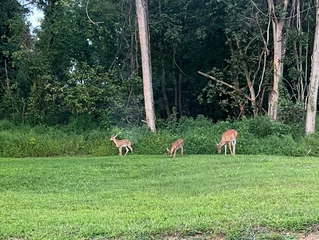 Building Photo - 48 S Hoernerstown Rd