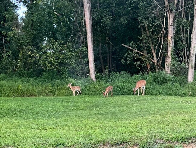 Building Photo - s. Hoernerstown Rd.- Short or Long term lease!