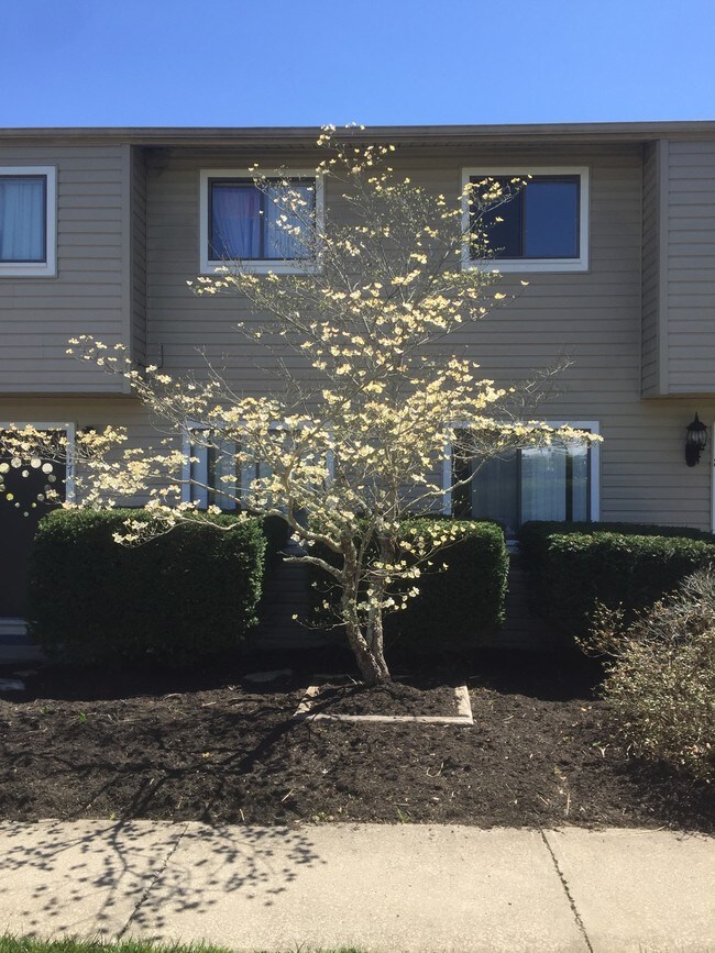 Building Photo - Cherrywood Townhouses & Apartments