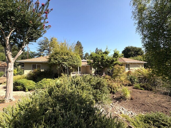 Building Photo - Modern Oasis in the Heart of Los Altos – U...