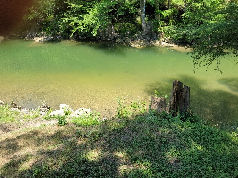 Building Photo - 143 River Ranch Rd