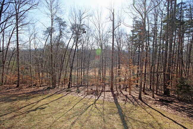 Building Photo - Pet-Friendly N.Albemarle Home on Over 2.5 ...