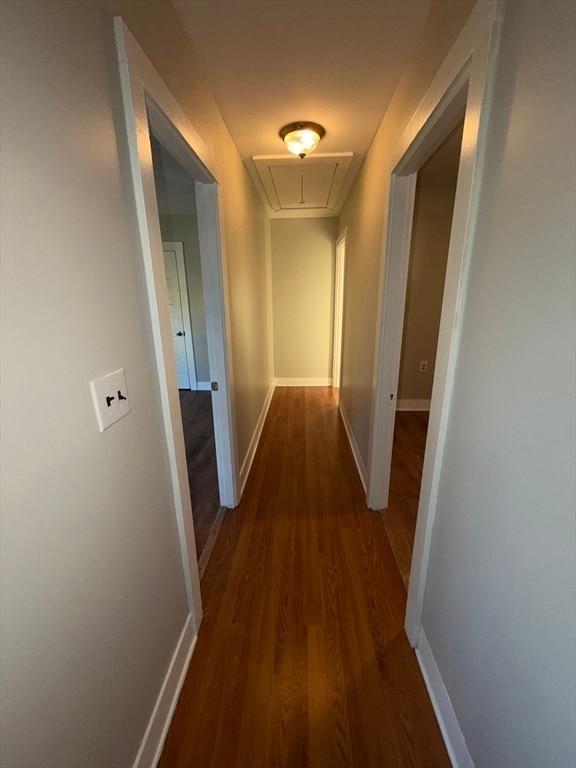 Building Photo - 19 Forest St