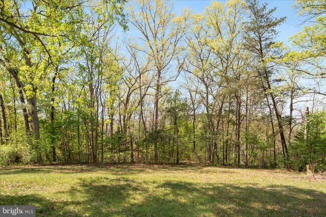 Building Photo - 716 Gafia Lodge Rd