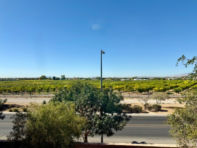Building Photo - SPACIOUS 3 BEDROOM + LOFT | SILVERSTONE RANCH | GILCREASE ORCHARD VIEWS