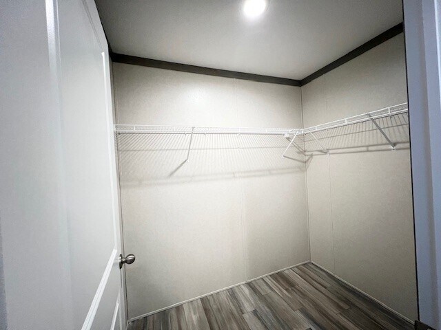 Building Photo - 25634 Nuway Ave