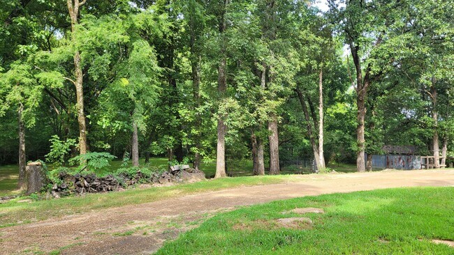 Building Photo - Beautiful home with lots of exterior space!