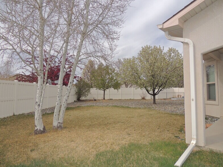 Backyard - 2866 Fall Creek Dr