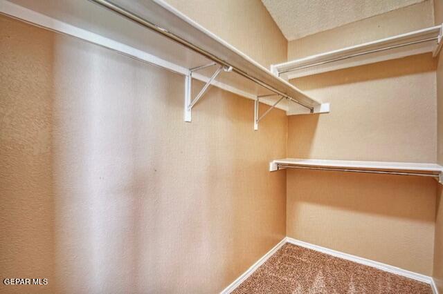 Building Photo - 14729 Cactus View Ct