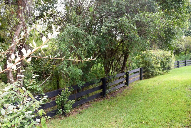 Nature preserve - backyard - 225 Montoya Dr