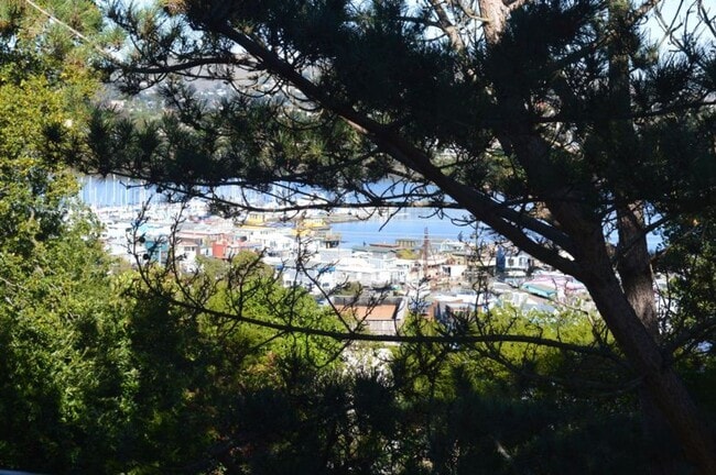 Building Photo - End Unit Sausalito Condo with Wrap-Around Deck