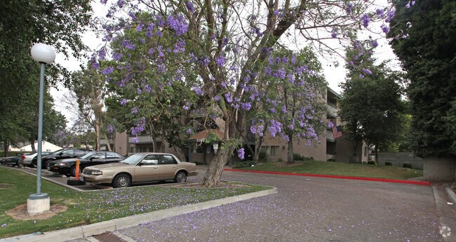 Building Photo - Villa Rain Tree Apartments