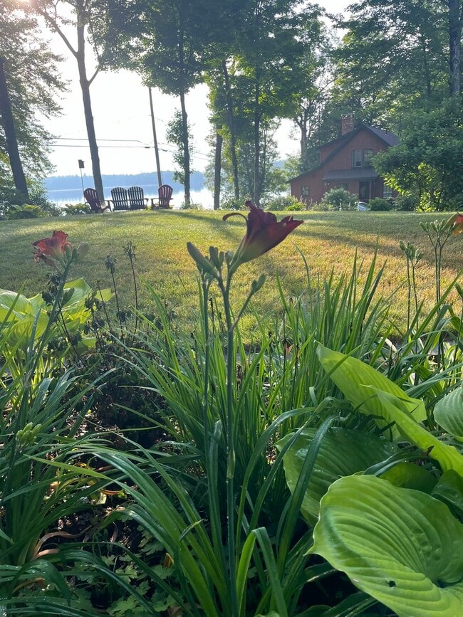 Building Photo - 586 Bunker Rd