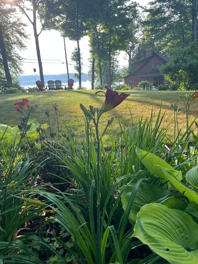 Primary Photo - 586 Bunker Rd