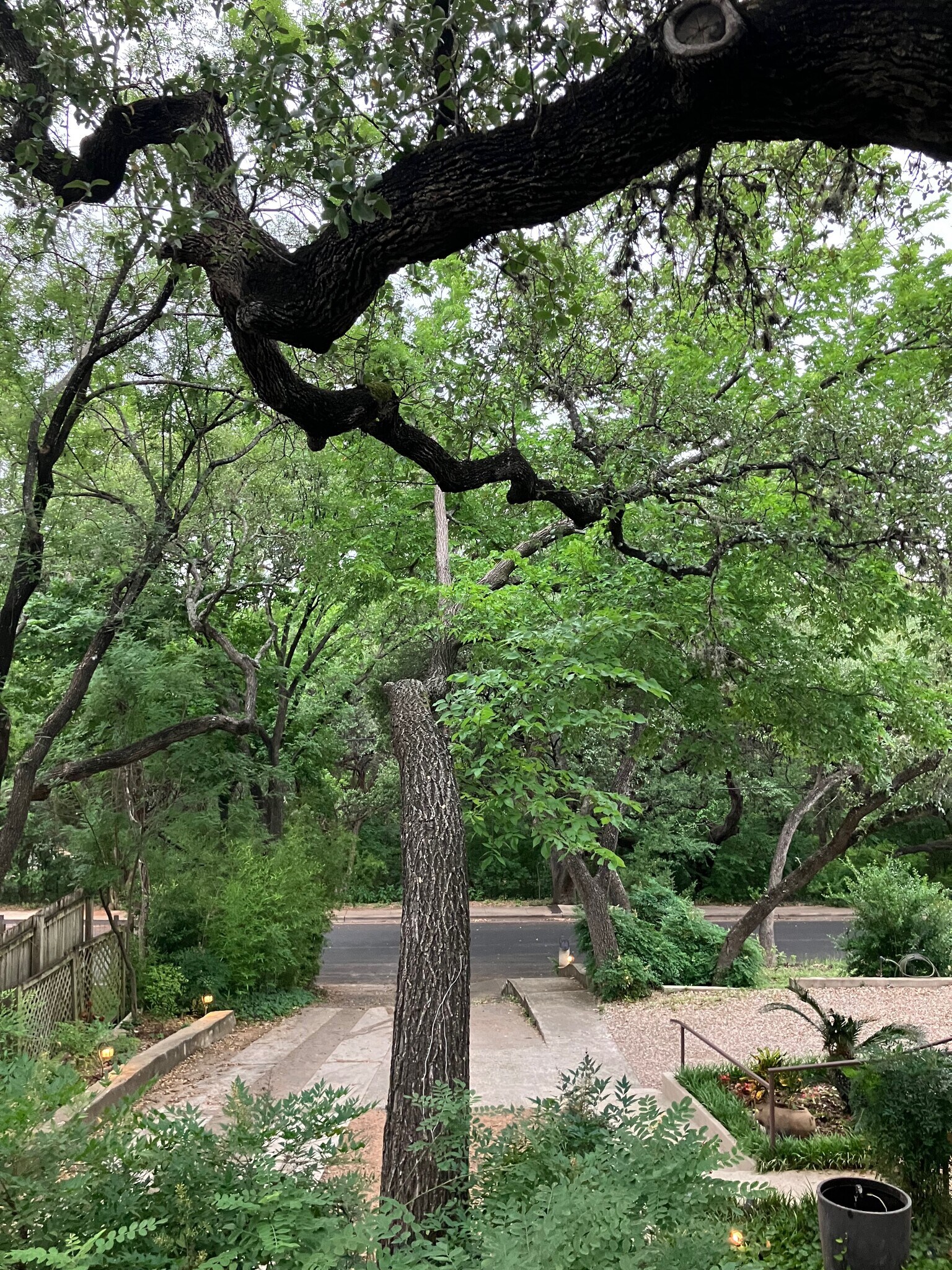 Building Photo - 1811 Alameda Dr