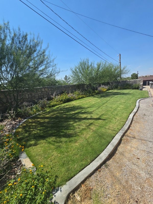 Building Photo - 6237 Constellation Dr