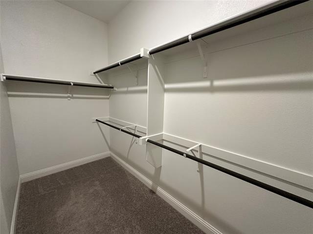 Building Photo - 3320 Oak Ln