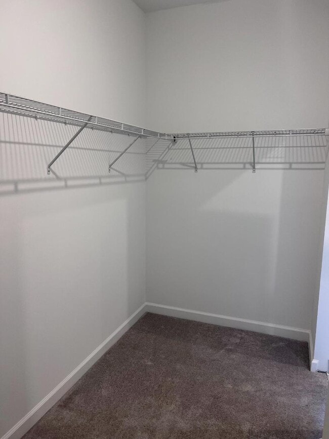 Building Photo - 4641 Meyerson Pl