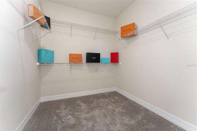 Building Photo - 9242 Hanging vine court