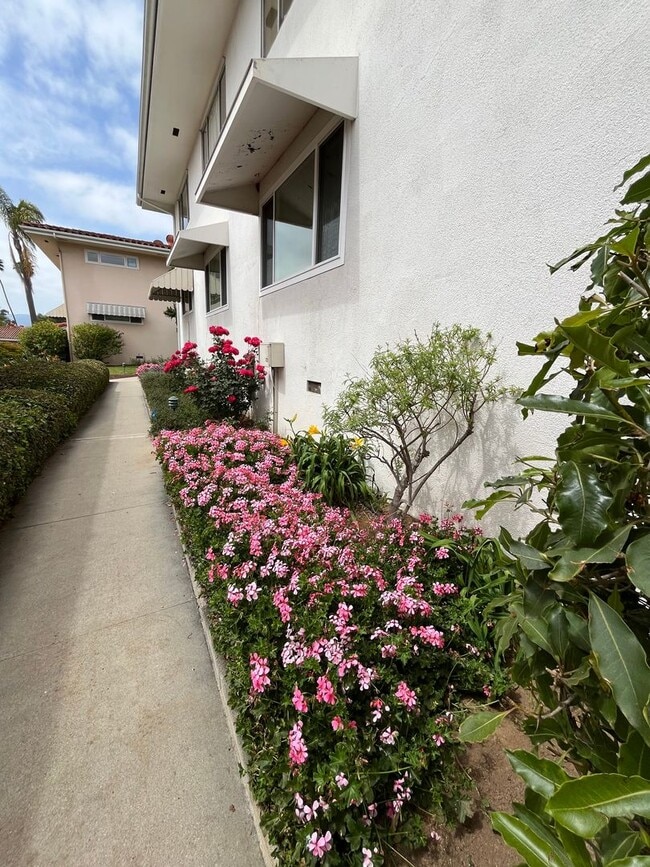 Building Photo - Villa Constance South Condo