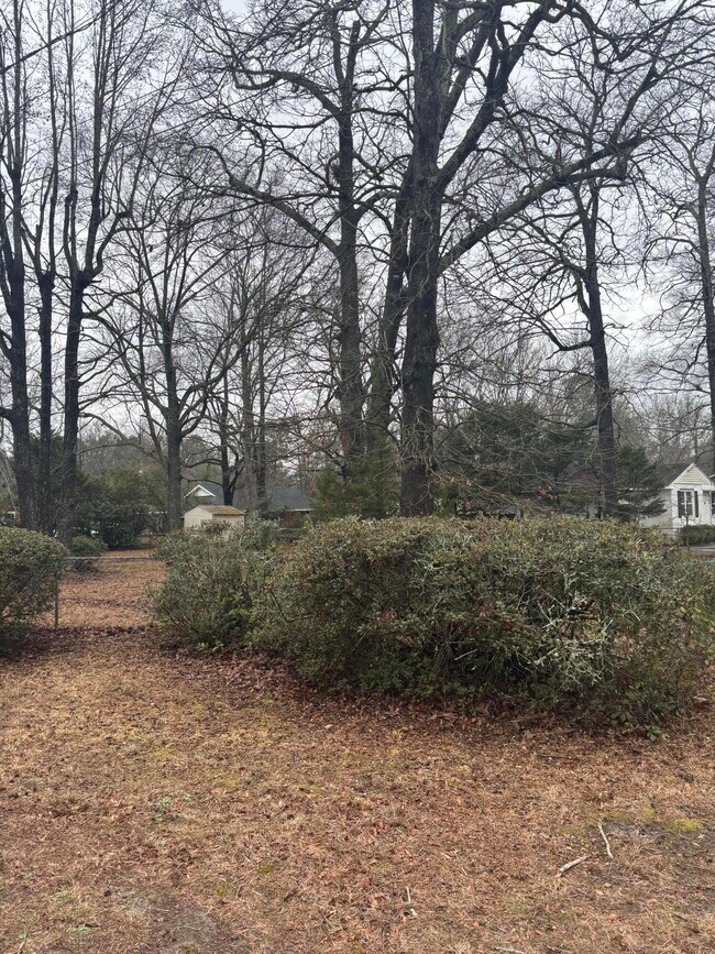 Building Photo - 232 Pinckney St