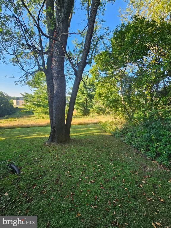 Building Photo - 3435 Pebble Beach Dr