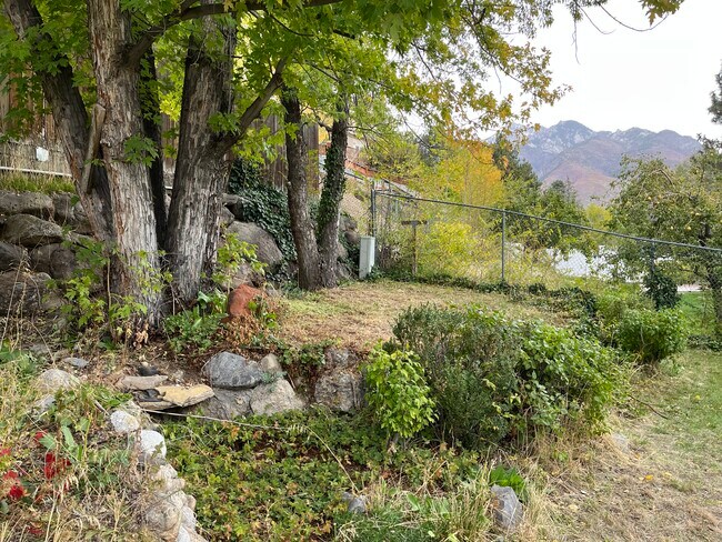 Building Photo - 2333 Cliff Swallow Dr