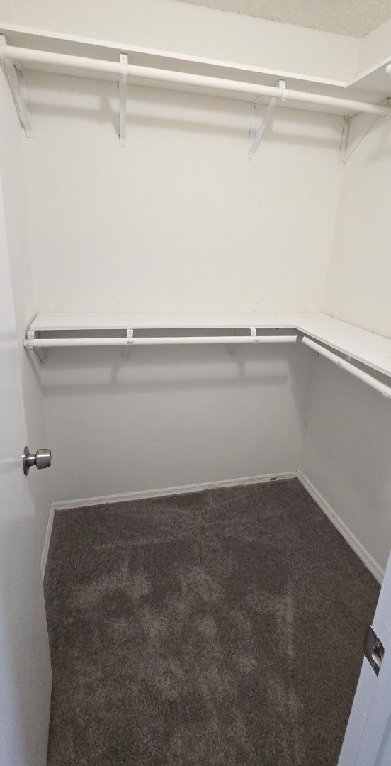 Building Photo - 136 Pine Island Cir