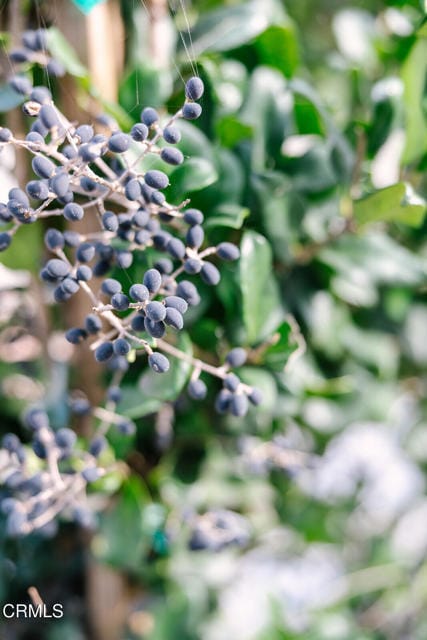 Building Photo - 2506 Weston Pl