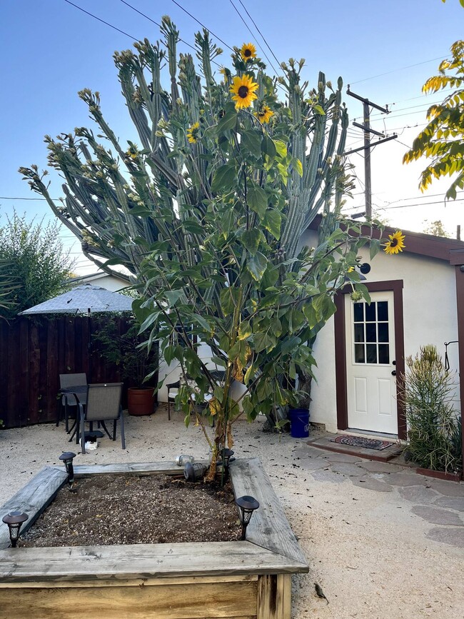 Building Photo - 530 N Laurel Ave