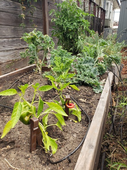 Building Photo - 5421 Market St