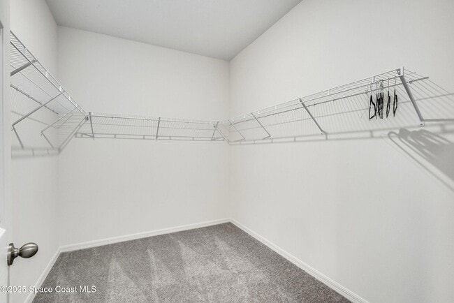 Building Photo - 1717 Dalroy St NW