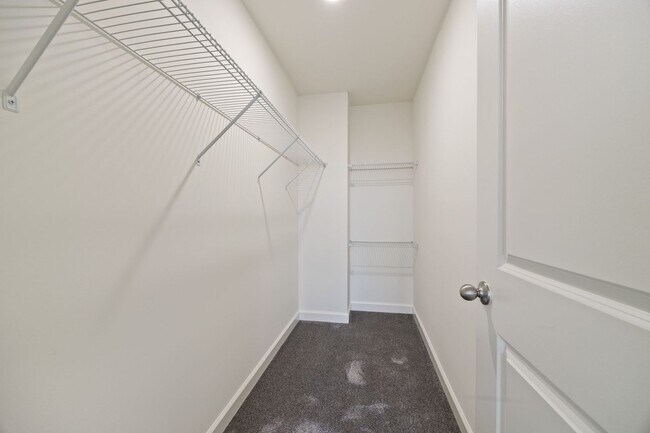 Building Photo - 2463 Bella Dr