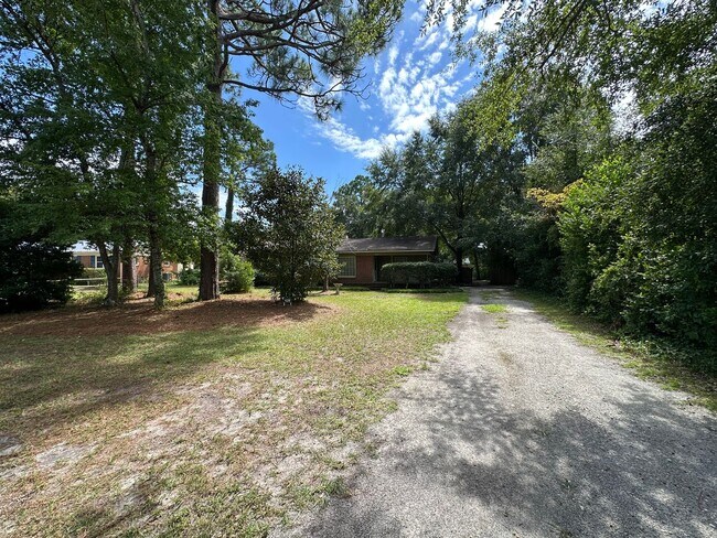Building Photo - 428 Long Leaf Acres Dr