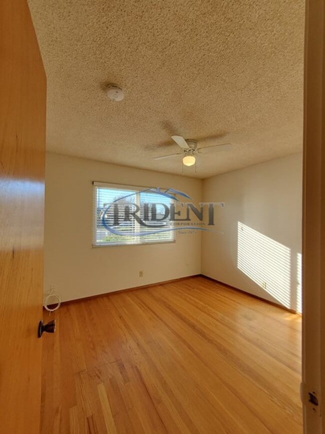 Building Photo - This is a cute 4 bedroom, 2 bath house in an established Woodland community