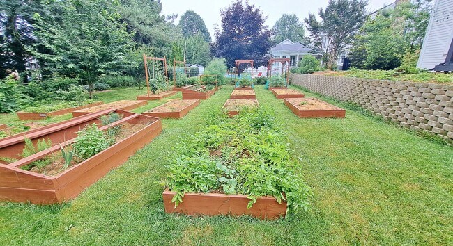 Building Photo - Fully Furnished 4 Bed / 1-1/2 Bath Single Family Home w/2 Car Garage