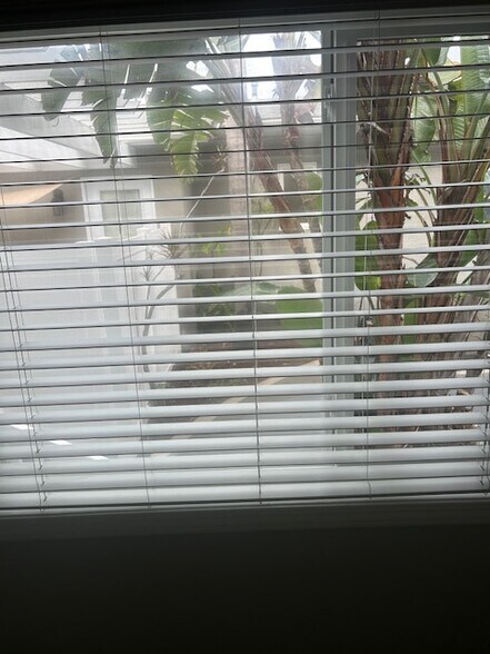 View outside from living room - 1534 Manhattan Beach Blvd