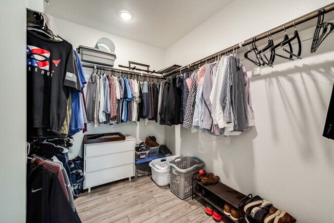 Building Photo - 243 Frio Dr