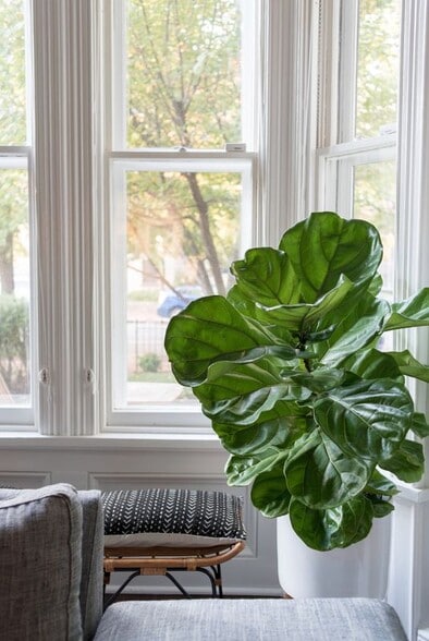 Building Photo - 1450 T St NW