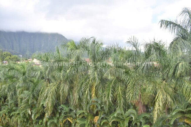 Building Photo - Upgraded 2/1/1 Hale Anaole Apts (Kaneohe) w/ utl. incl.