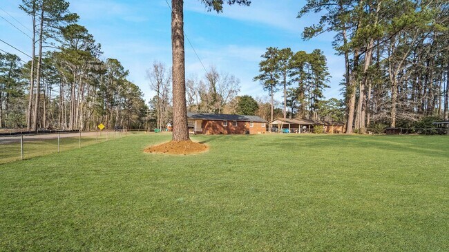 Building Photo - Cozy 3-Bedroom Home with Corner Lot in Rincon