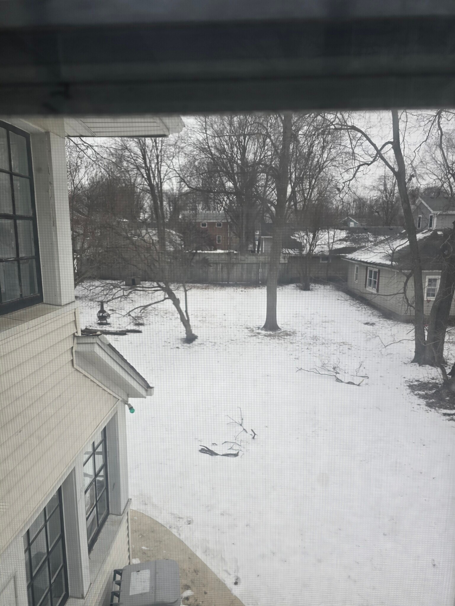 Side Yard - 515 Houston St