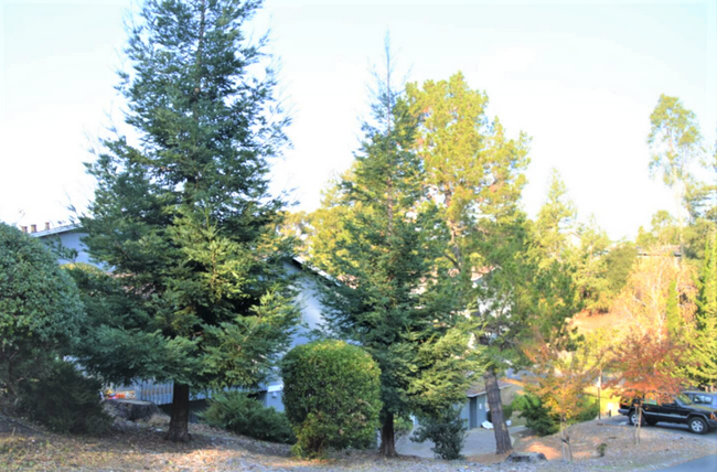 Building Photo - 2344 D St