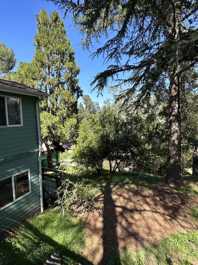 Looking down to lower yard from above - 19876 Observation Dr