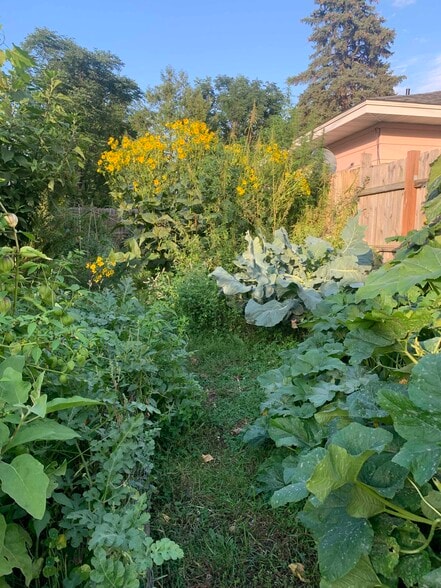 Garden summer 2024 - 3935 Hubbard Ave N