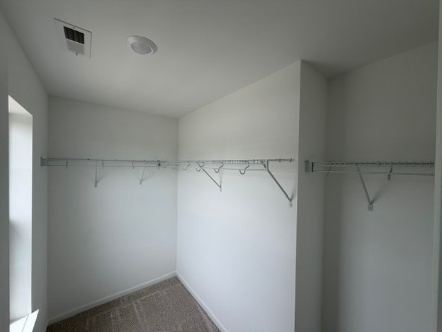 Building Photo - 1602 Neubauer Circle