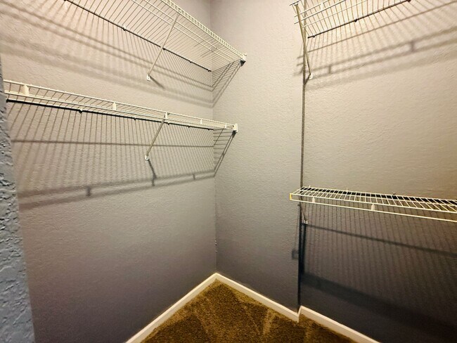 Building Photo - Newly painted Two Bedroom, Two Bathroom For Rent in New Tampa