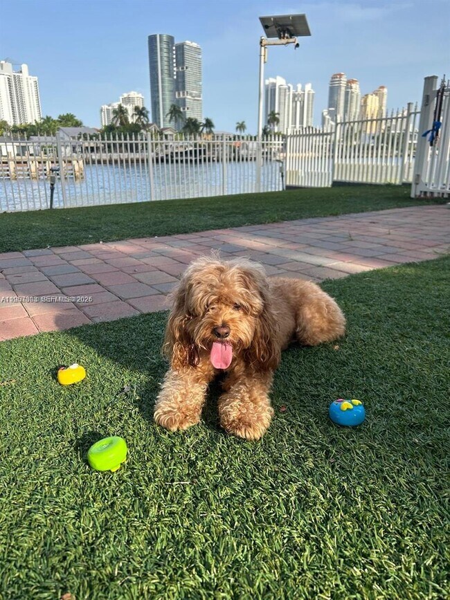 Building Photo - 3600 Mystic Pointe Dr