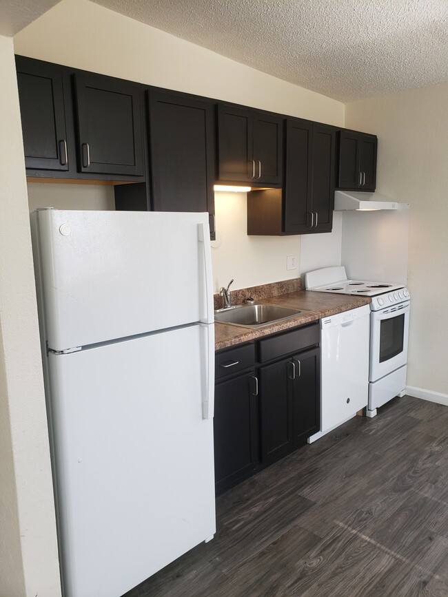 Updated 2BD Kitchen - Park Ridge