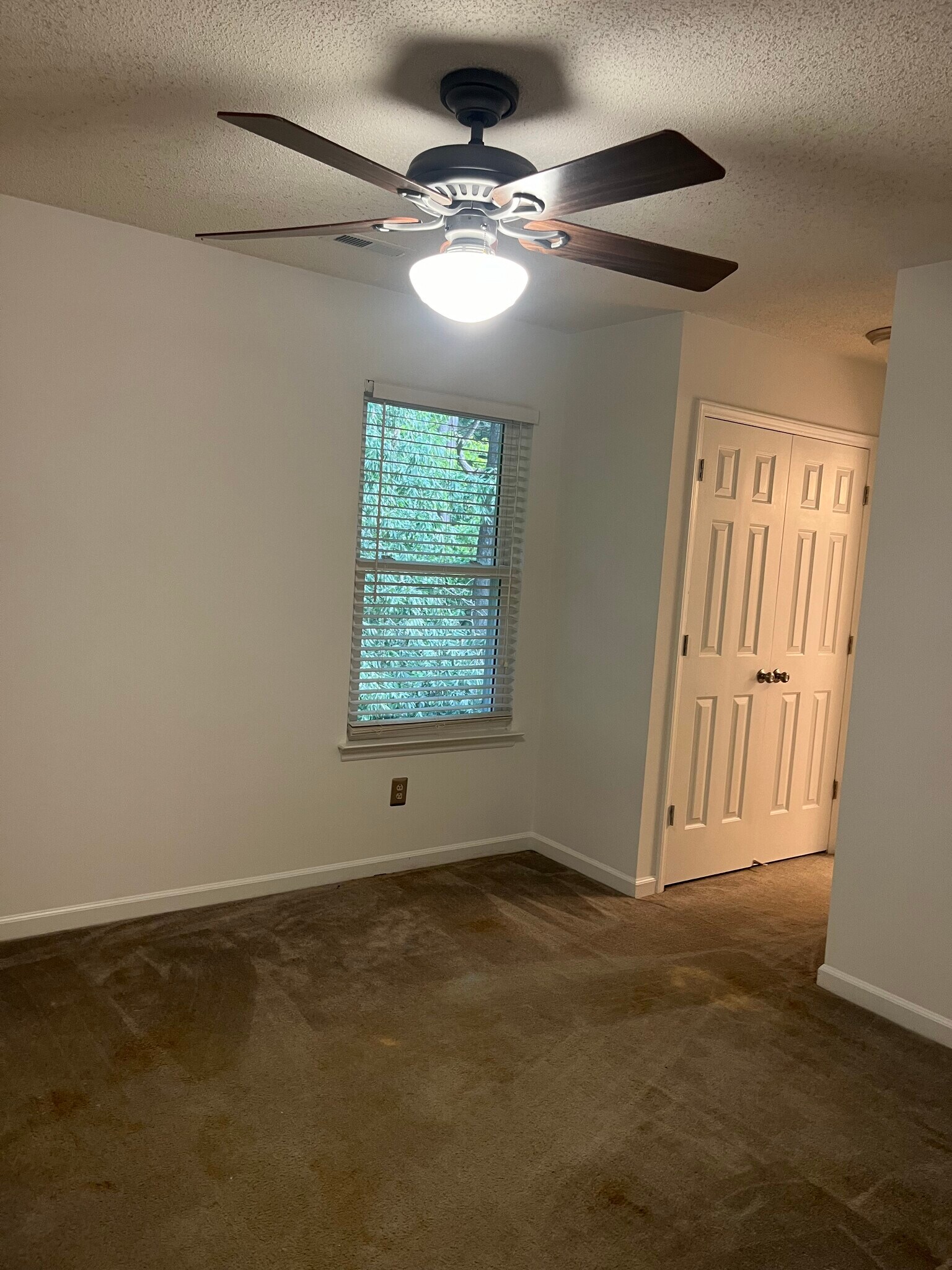 Building Photo - 3412 Armitage Dr